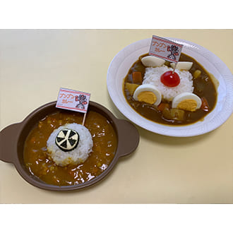 投稿いただいたカレーの盛り付け写真