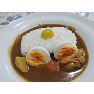 投稿いただいたカレーの盛り付け写真