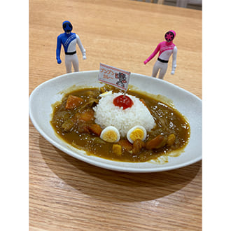 投稿いただいたカレーの盛り付け写真