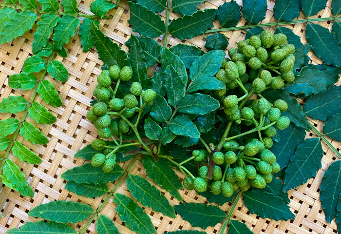 製品ストーリーとハウス食品グループが取り組む意義 イメージ画像