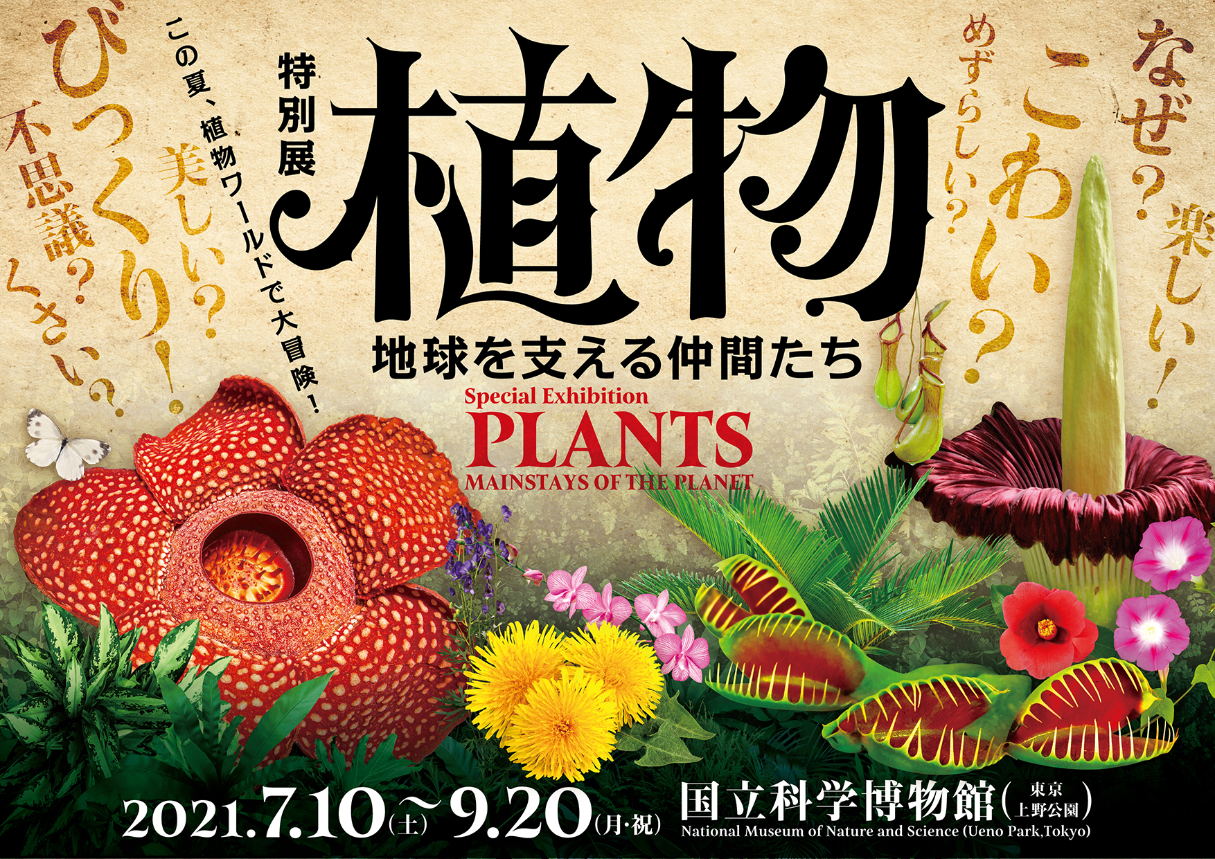 特別展「植物 地球を支える仲間たち」