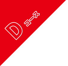 Dコース
