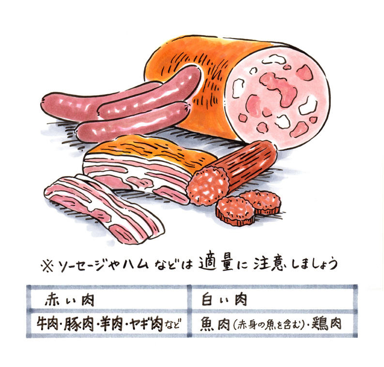 世界を驚かせた肉の研究レポート イメージ図